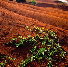  《十字军之王3》DLC权力之路上线 追加自我流派世界冒险